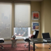 ҹǹ Roller Blinds