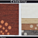 ҹǹ celeblity