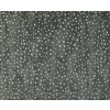 ҹ-BLIZZARD