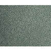 ҹ-CALLISTO