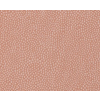 ҹ-CONFETTI